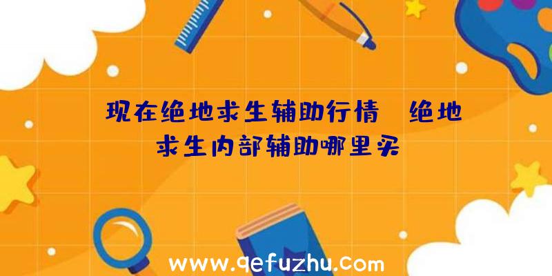 「现在绝地求生辅助行情」|绝地求生内部辅助哪里买